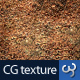 Rock & Stone Texture II - 3DOcean Item for Sale