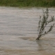 River Burst Its Banks. Muddy Water - VideoHive Item for Sale