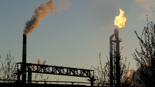 Burning Torch at the Refinery Among the Trees