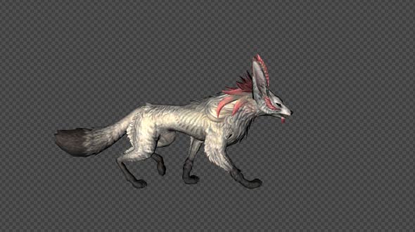 FennecFox Walk Pack 4 In 1