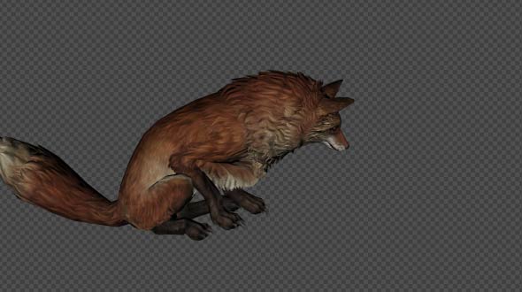 Fox Idle Pack02 4 In 1 alt