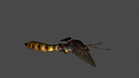 GiantBee Die Pack 8 In 1 alt