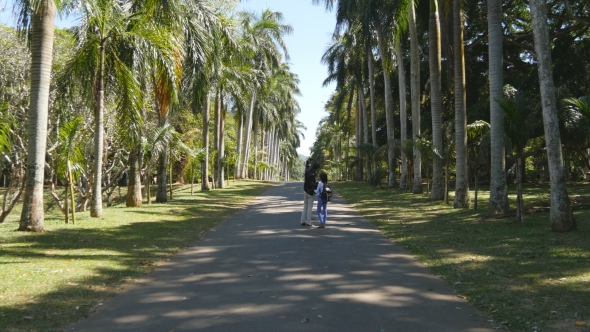 Young Man and Woman Going Along Exotic Parkland Lane, Viewing at Palm Tree and Doing Selfie Photo