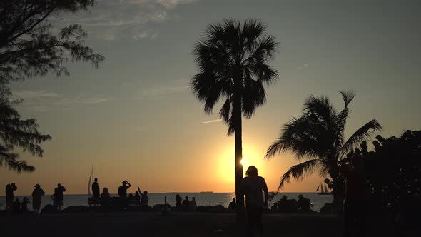 Tourists and palm trees on a beach at sunset