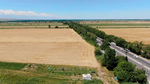 Aerial view of ripe barley fields