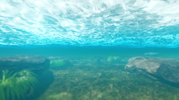 Under Water and Fishes alt