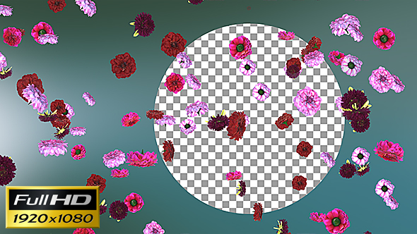 Flowers Falling Loop Background