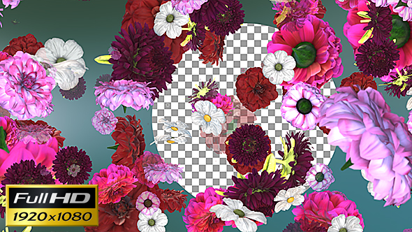 Flowers Falling Background