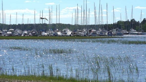 Many Boats in the Marina in the Baltic Sea