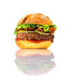 Tasty Looking Big Burger on White Background - PhotoDune Item for Sale
