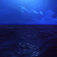 Night Sea - VideoHive Item for Sale