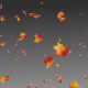 Autumn Leaves Falling - VideoHive Item for Sale