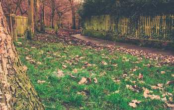 y autumn day in one of London Parks