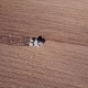 Aerial View of Tractor on Prepare a Field for Planting - VideoHive Item for Sale