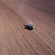 Aerial View of Tractor on Prepare a Field for Planting - VideoHive Item for Sale