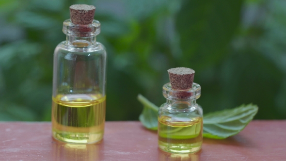 Essential Oil Made from Mint