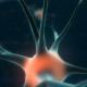 Neurons - VideoHive Item for Sale