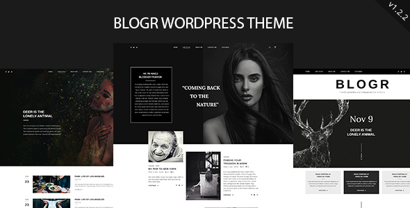 BLOGR - WordPress Theme for Special Bloggers