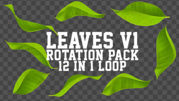4K Leaves Rotation Pack V1 12 in 1 alt