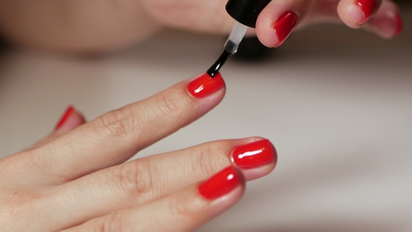 Female Hands Manicure with Red Nails  View on White Background. Classic Color Manicure