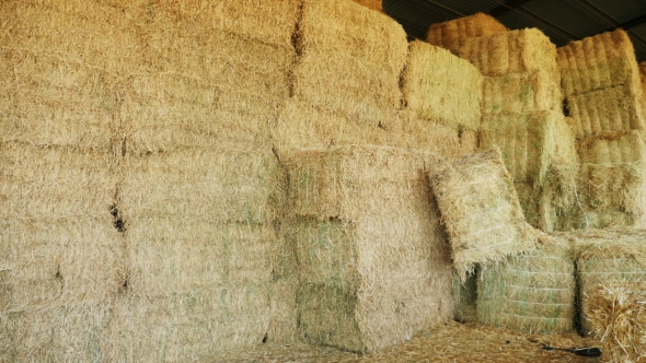 Stacked Bales in the Barn Overall Plan