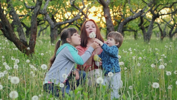Family Playing With Dandelions In the Garden