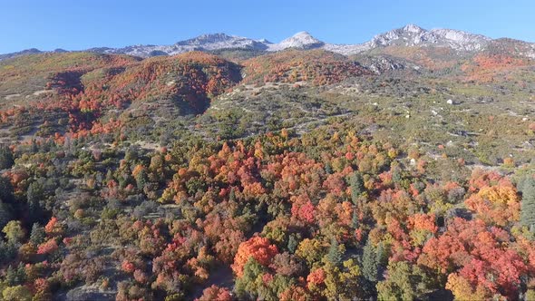 Beautiful fall foliage near Alpine, Utah on a sunny October day as seen from the air.