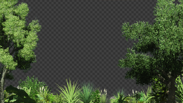 Beautiful Edge of Forest Background alt