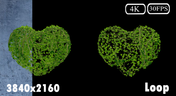 Ivy Growing Heart Pack alt