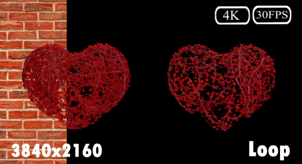 Ivy Growing Heart Packv2 alt