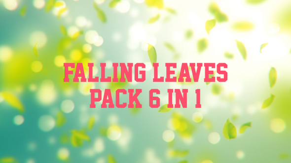 4K Elegant Leaves 6 in 1 alt