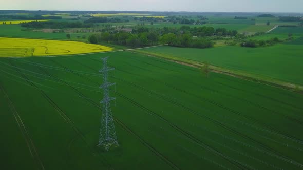 Aerial flyover blooming rapeseed (Brassica Napus) field, flying over lush yellow canola flowers, idy