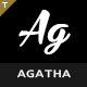 Agatha | Art Gallery Photography Theme - ThemeForest Item for Sale