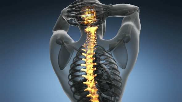 Backache in Back Bones alt