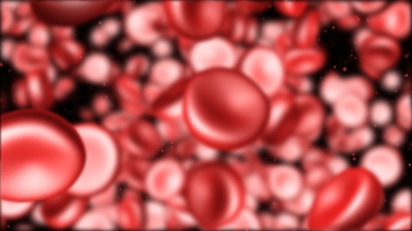 Red Blood Cell 