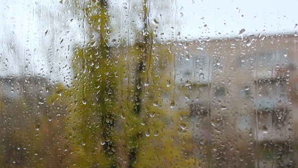 Rain Drops on the Glass