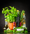 Still Life with Herbs and Cooking Ingredients - PhotoDune Item for Sale