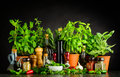 Still Life wit Cooking Ingredients, Herbs and Utensils - PhotoDune Item for Sale