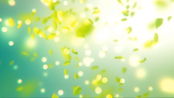 Elegant Falling Leaves alt