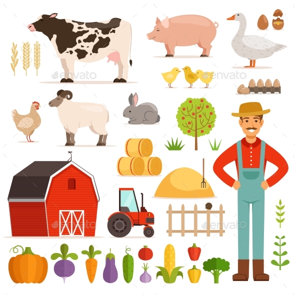 Different Farm Elements. Vegetables, Transport
