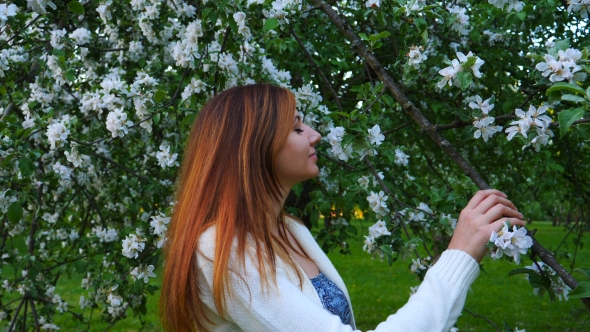 Beautiful Natural Woman in a Blooming Apple Orchard, Smelling the Flower