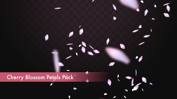 Cherry Blossom Petals Pack alt