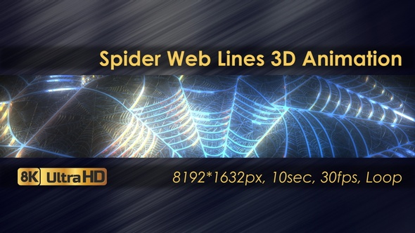 Spider Web Lines 3D Animation