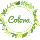Colora - Organic Responsive Magento Theme - ThemeForest Item for Sale