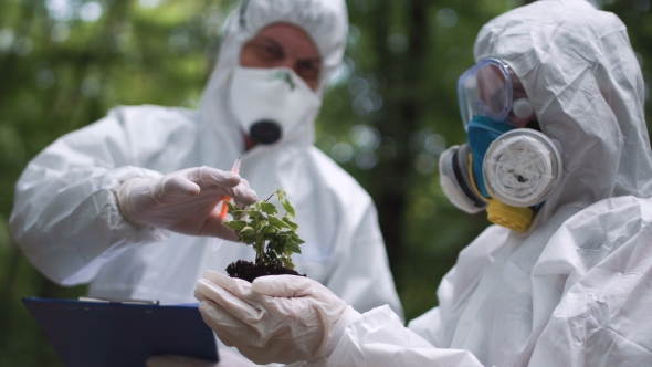 Ecologist Do the Analysis of a Plant