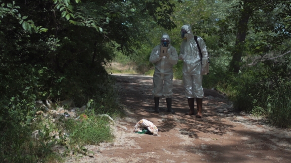 Biologists Working on Nature