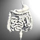 Digestive System - 3DOcean Item for Sale