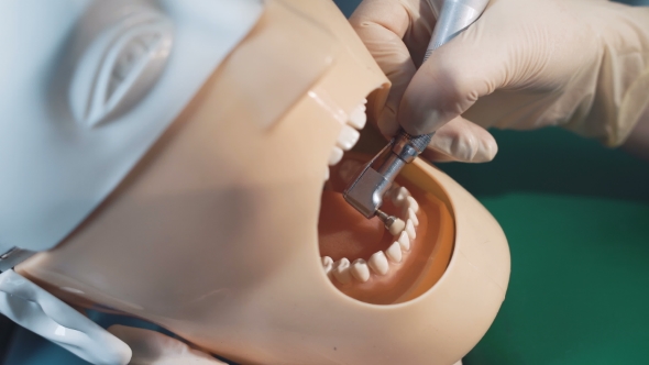 Student Practicing Dentistry on a Medical Dummy