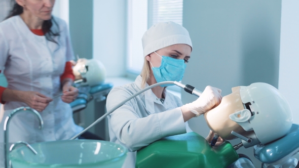 Dentistry Student or Hygienist Working on a Dummy