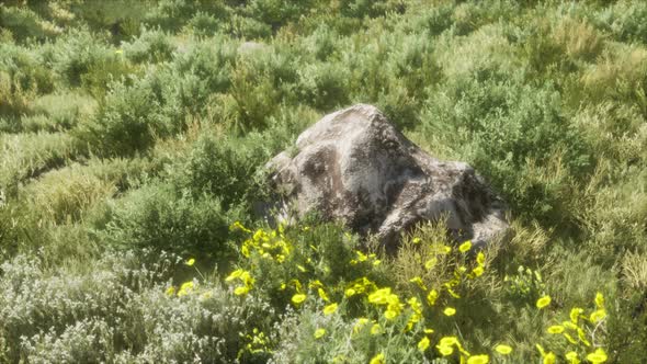 Big Rocks on Field with Dry Grass